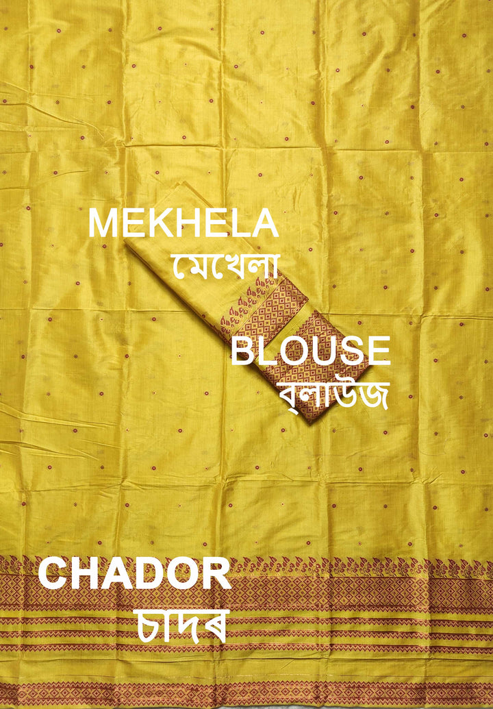 Premium Bhagalpuri Art Toss* Mekhela Sador