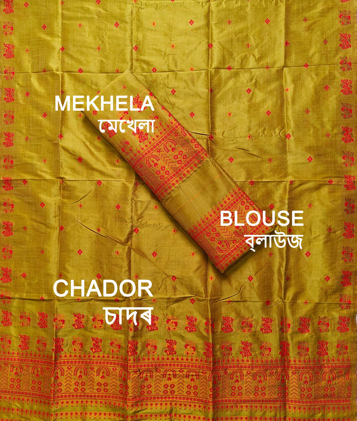 Premium Bhagalpuri Art Toss* Mekhela Sador