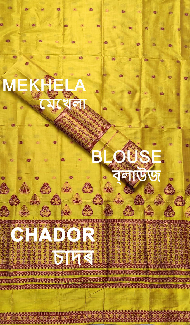 Premium Bhagalpuri Art Toss* Mekhela Sador