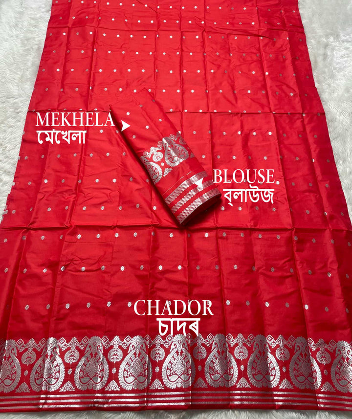 SIlver Jari - Dhaga Mina - Mix Set Mekhela Sador