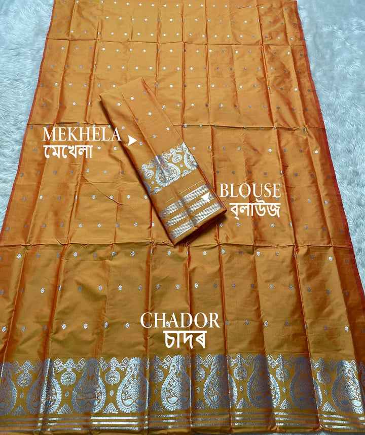 SIlver Jari - Dhaga Mina - Mix Set Mekhela Sador