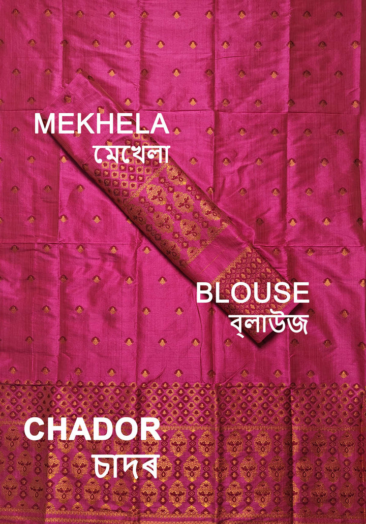 Premium Bhagalpuri Art Toss* Mekhela Sador